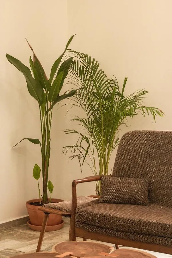Apartamento Tulum - La Veleta