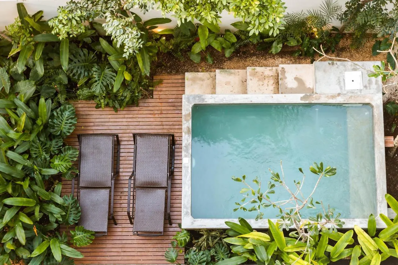 Apartamento Tulum - La Veleta